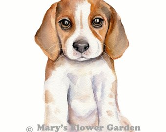 340x270 Beagle Watercolor Pr Etsy - Watercolor Beagle