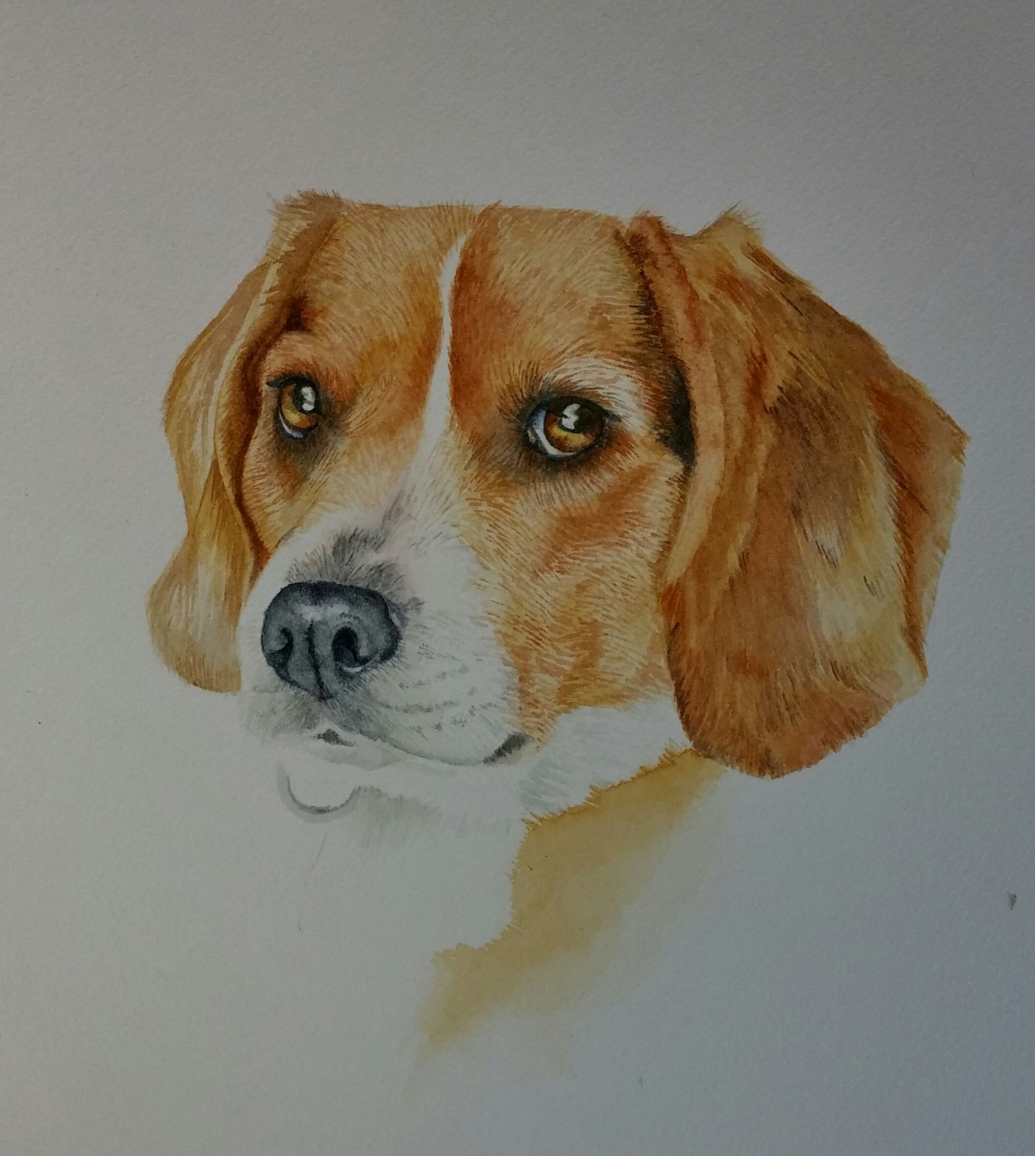 2116x2362 Demo How To Paint A Watercolor Dog Using Just Four Colors - Watercolor Beagle