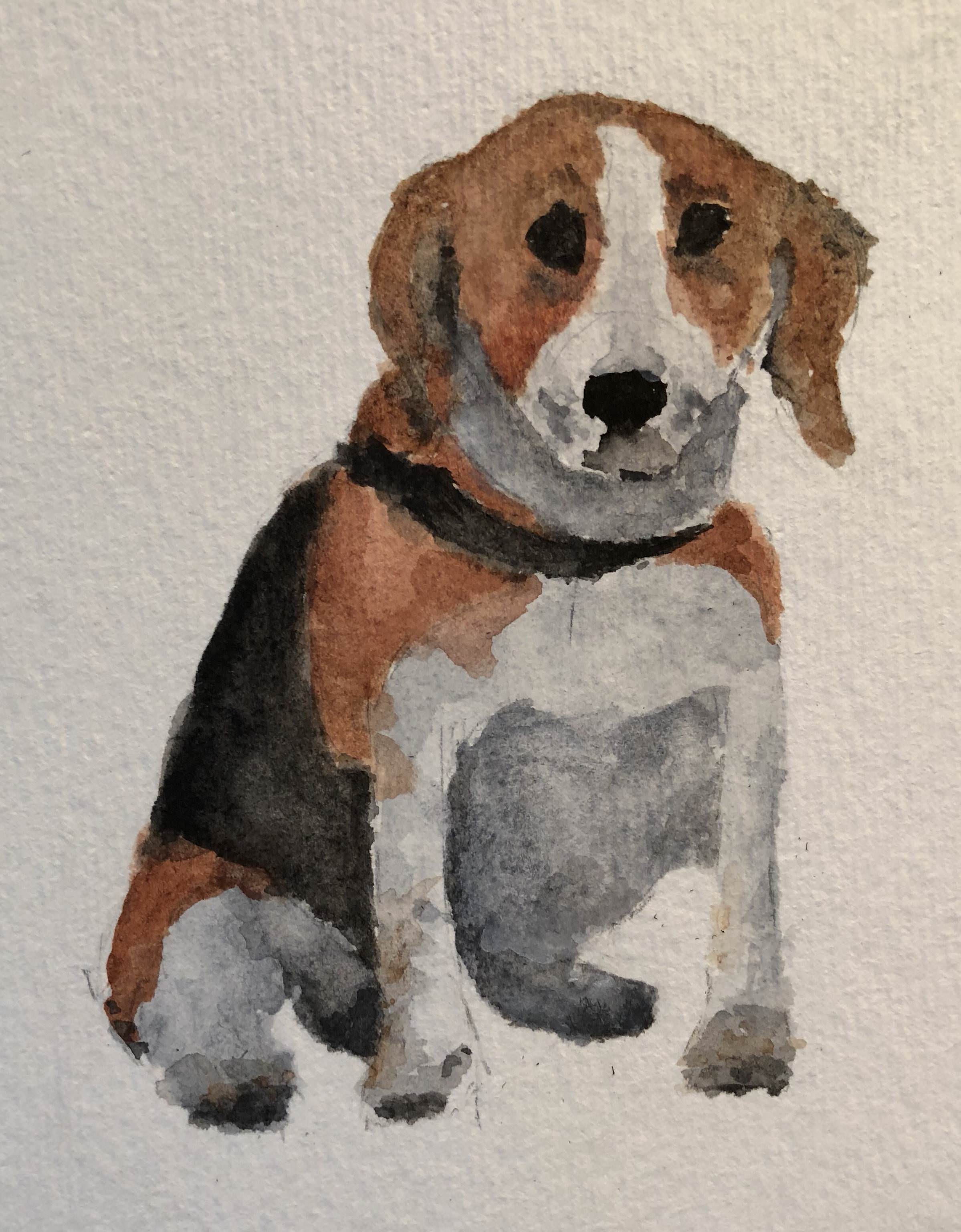 2398x3072 Painted My Beagle. Still New To Watercolor And Would Appreciate - Watercolor Beagle