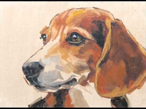 480x360 Painting A Beagle By Carolyn Finnell - Watercolor Beagle