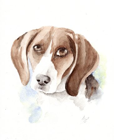 365x450 Watercolor Beagle Dog Portrait Pet Portraits - Watercolor Beagle