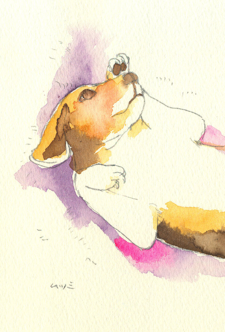 735x1087 Watercolor Beagle Ii By Muttiy - Watercolor Beagle