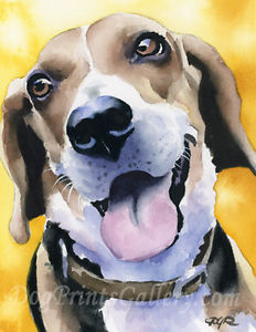 232x300 Beagle Art Print Watercolor Painting Signed By Artist Dj Rogers Ebay - Watercolor Beagle