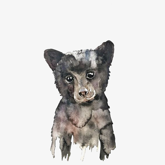 564x564 Watercolor Bears, Watercolor Clipart, Bear Baby, Cartoon Bear Png - Watercolor Bear