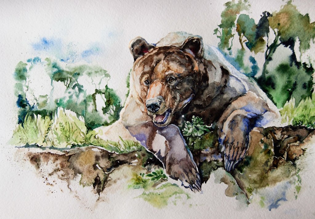 1024x714 Watercolor, Bear By Lomovtsevaolga - Watercolor Bear