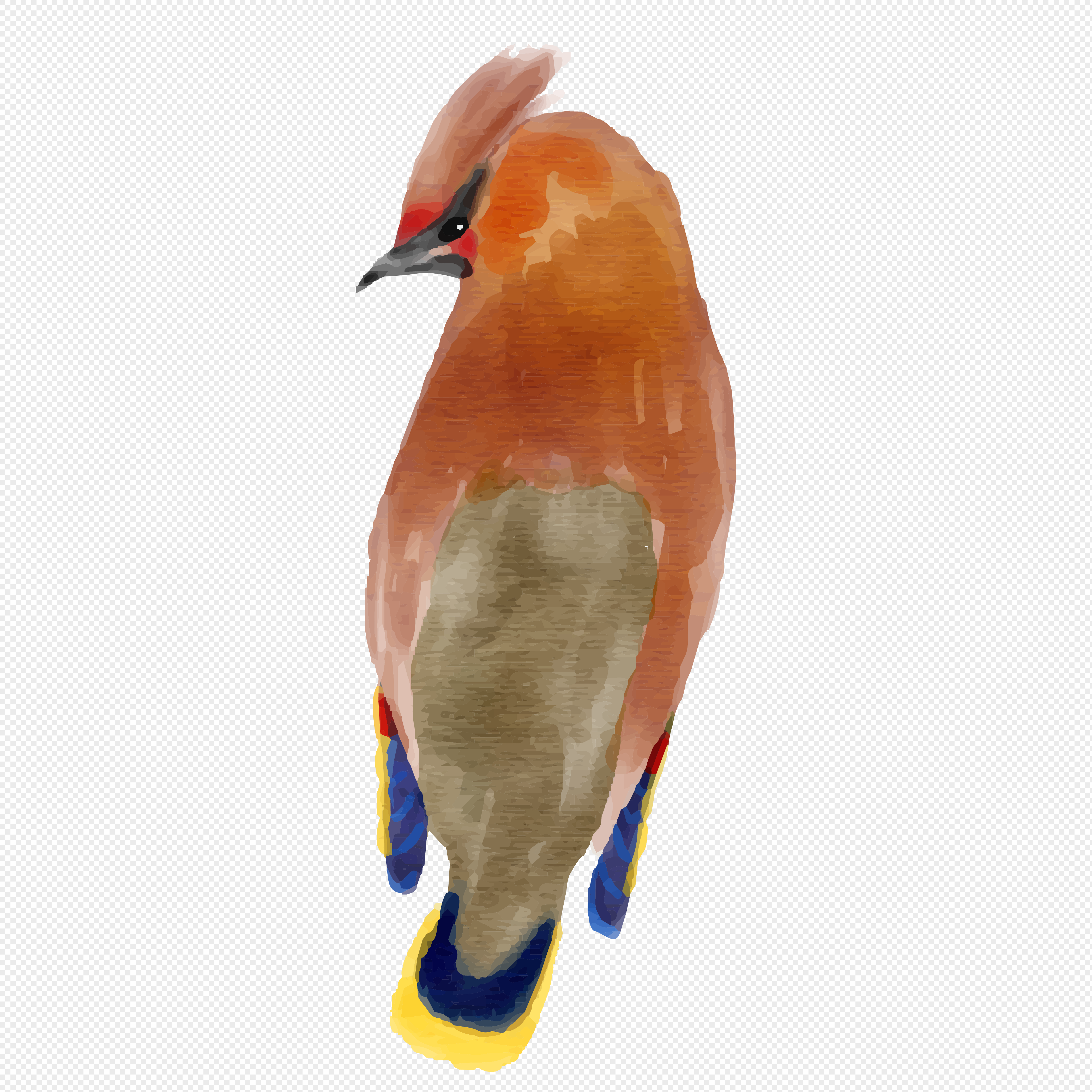 4187x4187 Watercolor Beauty Bird Png Image Picture Free Download - Watercolor Beauty