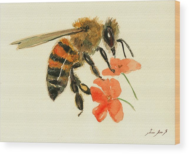 643x523 Honey Bee Watercolor Painting Wood Print By Juan Bosco - Watercolor Bee
