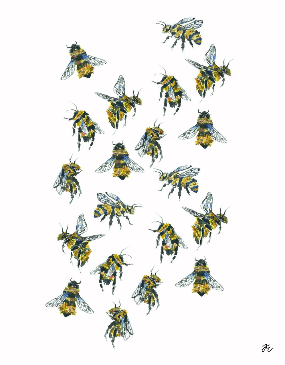 1000x1278 Watercolor Bee Print Tess Erlenborn - Watercolor Bee