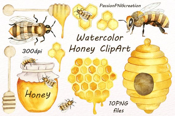 570x379 Watercolor Honey Clipart Watercolor Bee Clip Art Digital Etsy - Watercolor Bee