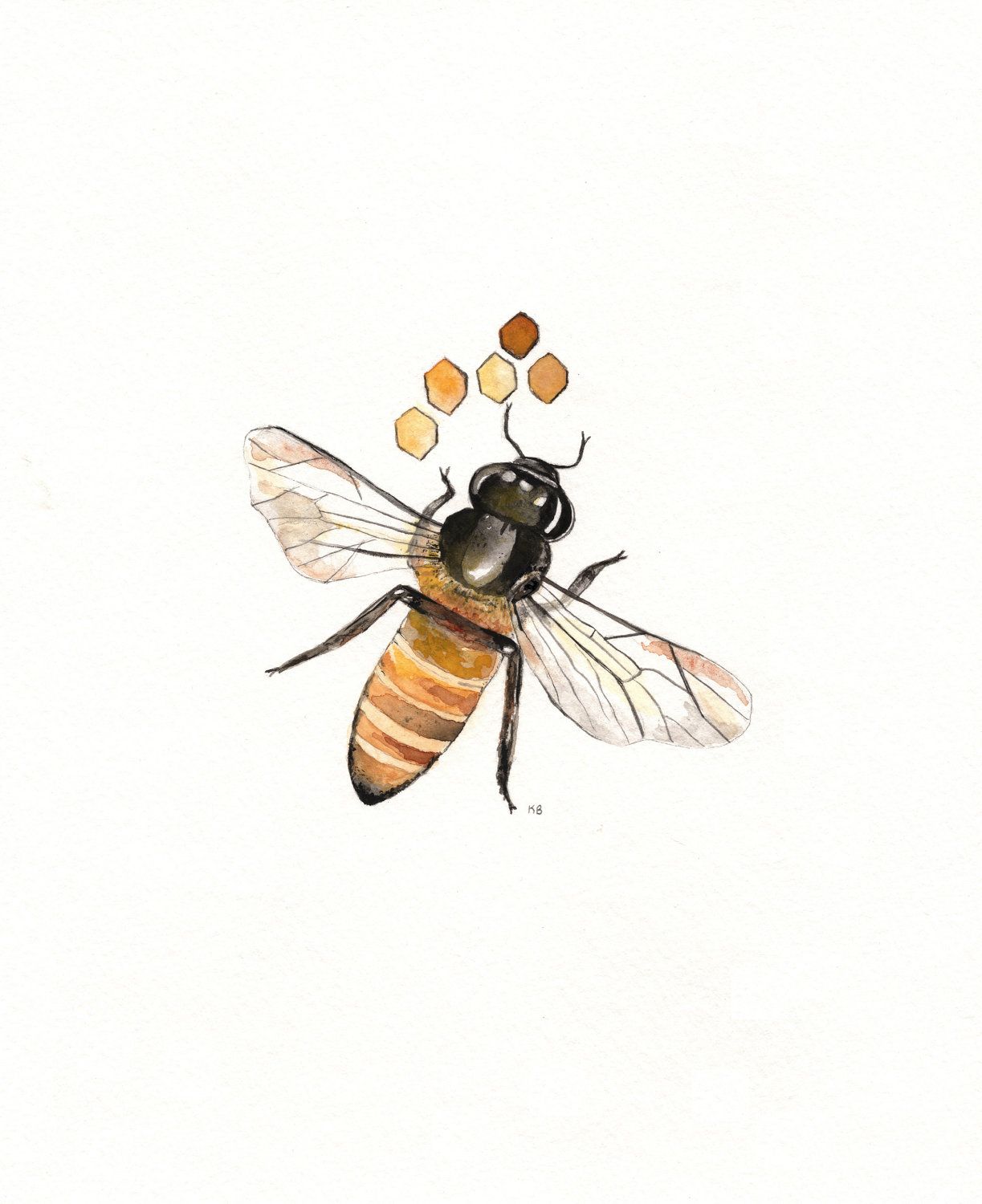 1223x1500 Watercolor Bee - Watercolor Bee