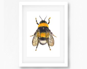 340x270 Bee Watercolor Etsy - Watercolor Bee