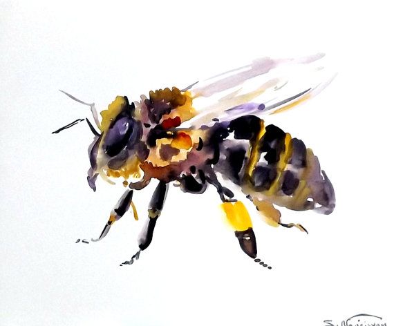 570x472 Bee, Original Watercolor Painting, 8 X 10 In, Honey Maker, Bee Art - Watercolor Bee Tattoo