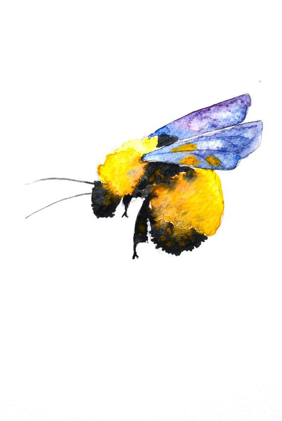 570x851 Bumble Bee Watercolor Painting, Original Art, Small My Art - Watercolor Bee Tattoo