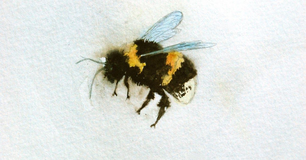 1200x630 Title Bumble Bee In Haze Medium Watercolor On Paper Size 6x9 - Watercolor Bee Tattoo