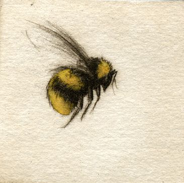 366x365 Watercolor Bee. Torn About Pinning This Because Though The - Watercolor Bee Tattoo