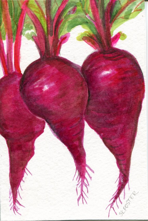 570x852 Beets Watercolor Painting Original Vegetable Illustration 4 Etsy - Watercolor Beet