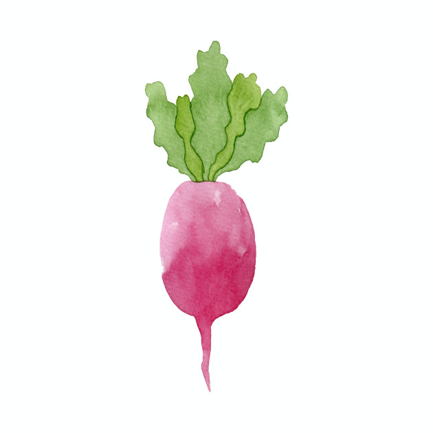 630x630 Cute And Ripe Watercolor Beetroot - Watercolor Beet