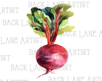 340x270 Watercolor Beetroot Etsy - Watercolor Beet