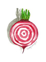 180x240 Beet Watercolor Art Print Marcella Kriebel Art + Illustration - Watercolor Beet