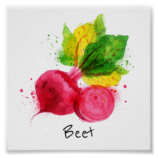 540x540 Beet Watercolor Veggie Poster Zazzle.co.uk - Watercolor Beet