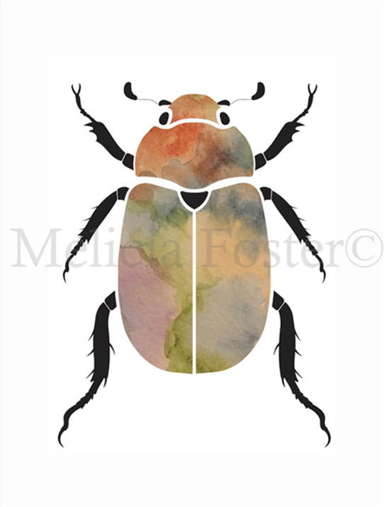 542x715 Multicolored Watercolor Beetle Illustration On Behance - Watercolor Beetle