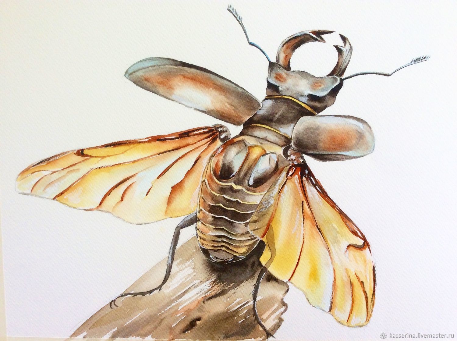 1500x1119 Stag Beetle Shop Online On Livemaster With Shipping - Watercolor Beetle