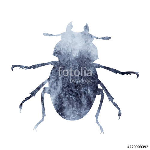 500x500 Watercolor Beetle, Silhouette Stock Image And Royalty Free Vector - Watercolor Beetle