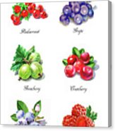 163x186 Watercolor Berries Illustration Collection I Painting By Irina - Watercolor Berries