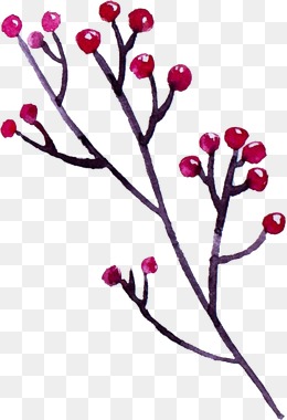 260x380 Watercolor Berries Png Images Vectors And Psd Files Free - Watercolor Berries