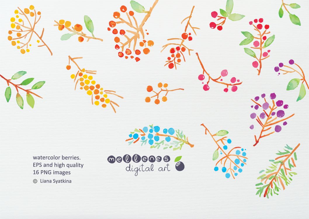1058x750 Watercolor Berries Berry, Watercolor And Composition - Watercolor Berries