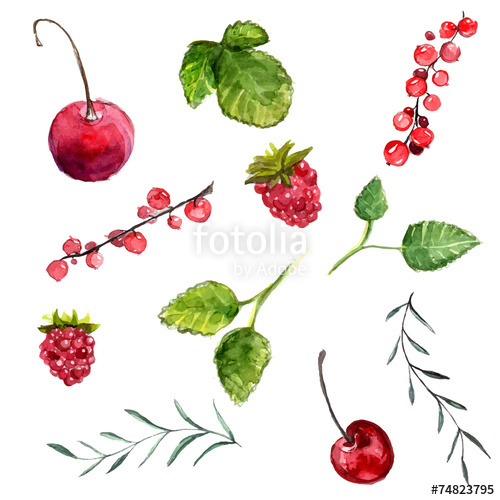 500x500 Watercolor Berries Cherry, Red Currant And Raspberry Stock Image - Watercolor Berries