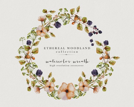 570x456 Wild Flowers Clipart Watercolor Wreath Watercolor Berries Etsy - Watercolor Berries