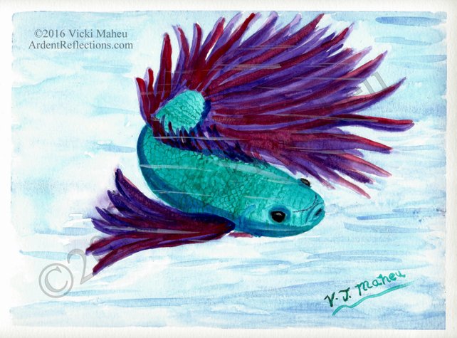 642x475 Betta Fish Painting Betta Fish Watercolor Siamese Fighting Etsy - Watercolor Betta Fish
