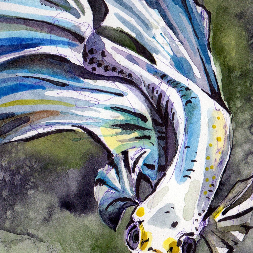 1000x1000 Watercolor Painting Of Blue Betta Fish - Watercolor Betta Fish