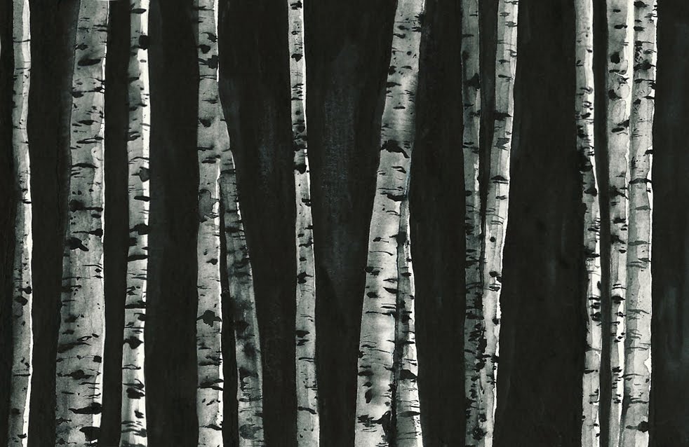 982x638 Dominique Chirinciuc Watercolor Birch Trees - Watercolor Birch Trees