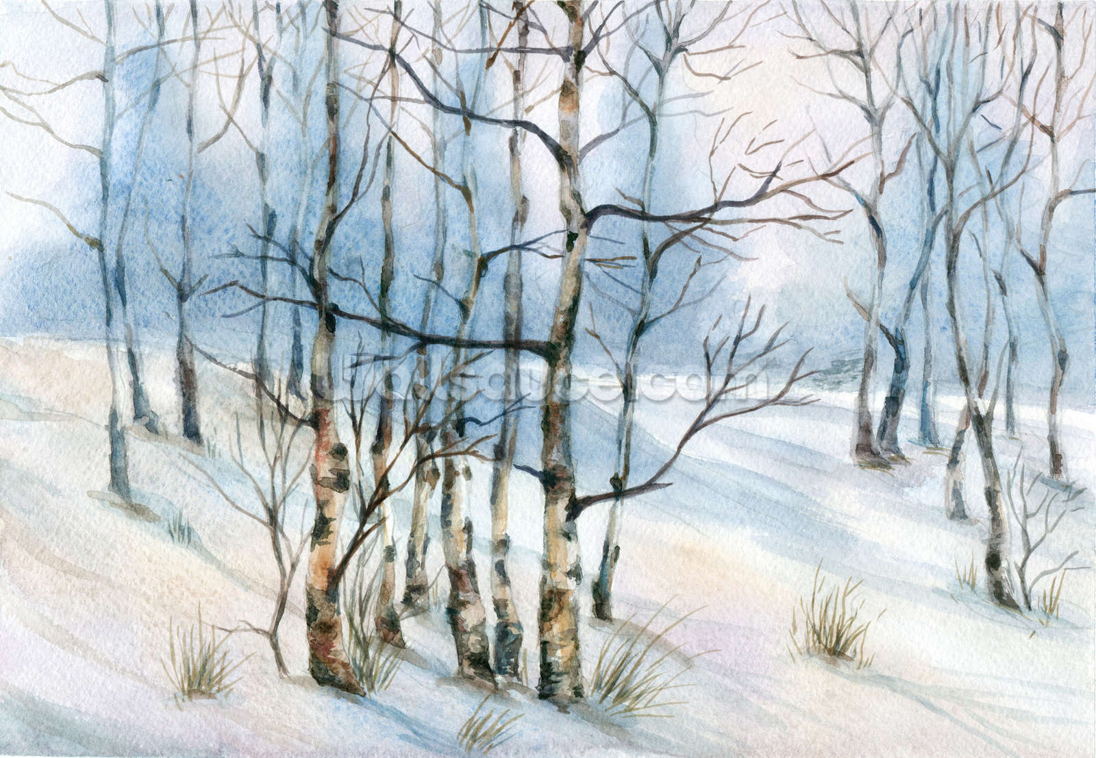 1600x1106 Winter Birch Tree Watercolor Wallpaper Wall Mural Wallsauce - Watercolor Birch Trees