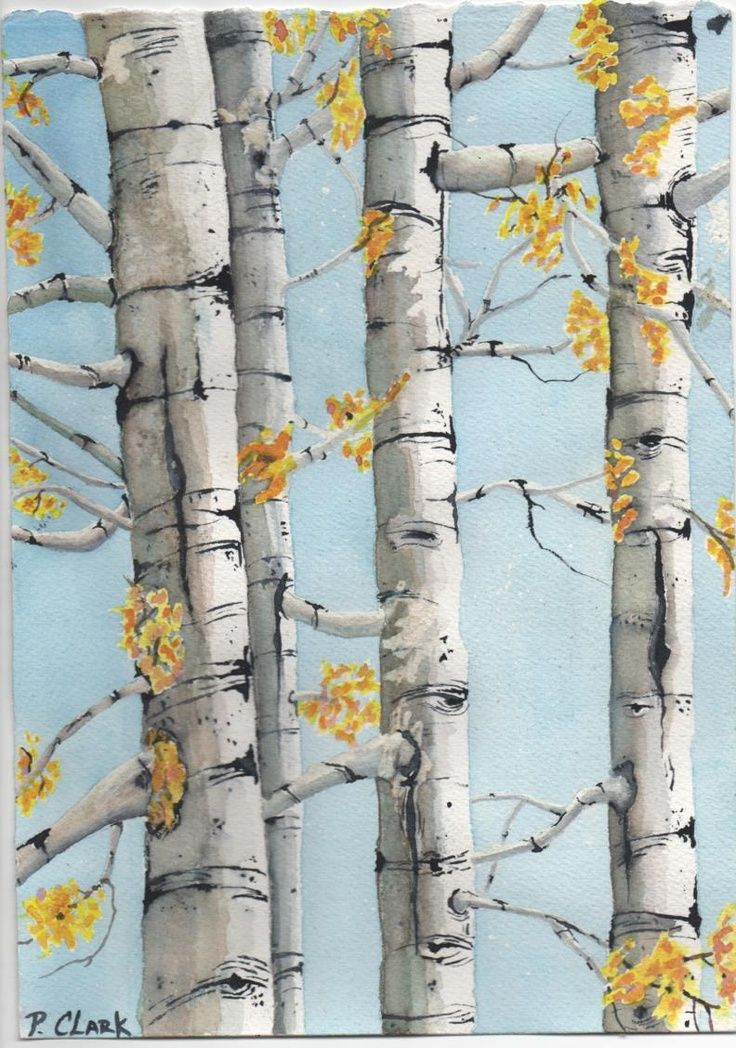 736x1048 Birch Tree Art Birch Trees Watercolor All Things Art Birch - Watercolor Birch Trees