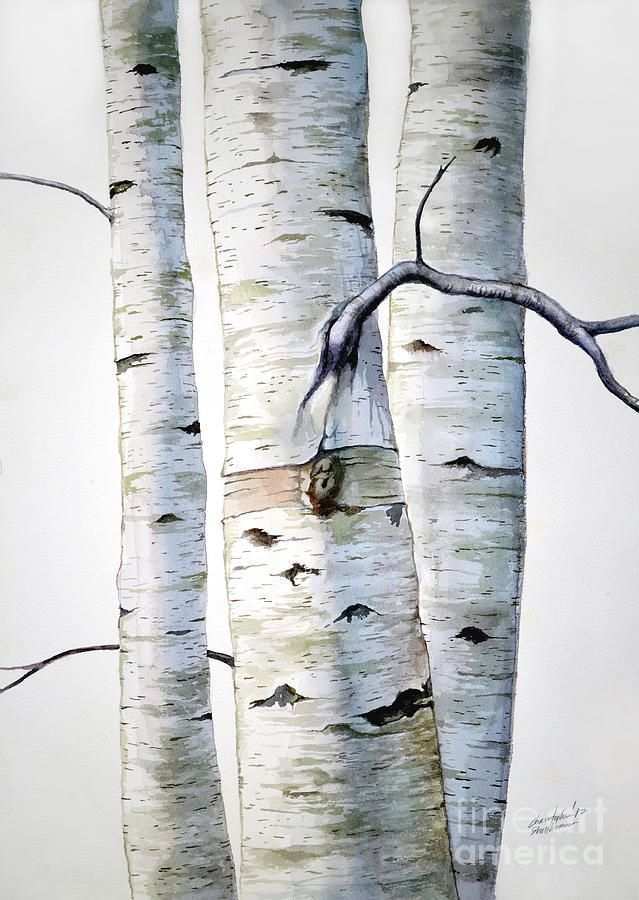 639x900 Birch Tree Painting Best Of 180 Best Watercolor Birch Trees Images - Watercolor Birch Trees