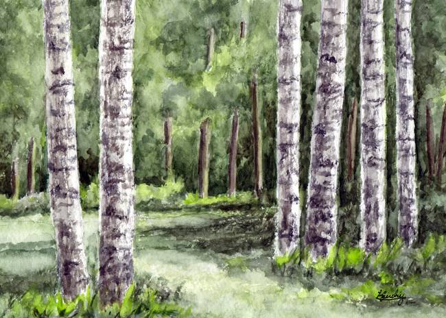 650x464 Birch Tree Watercolor Landscape By Pixel Paint Studio - Watercolor Birch Trees