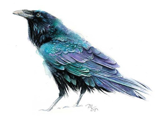 500x379 Raven Turquoise Blue Purple Watercolor Bird Print - Watercolor Bird
