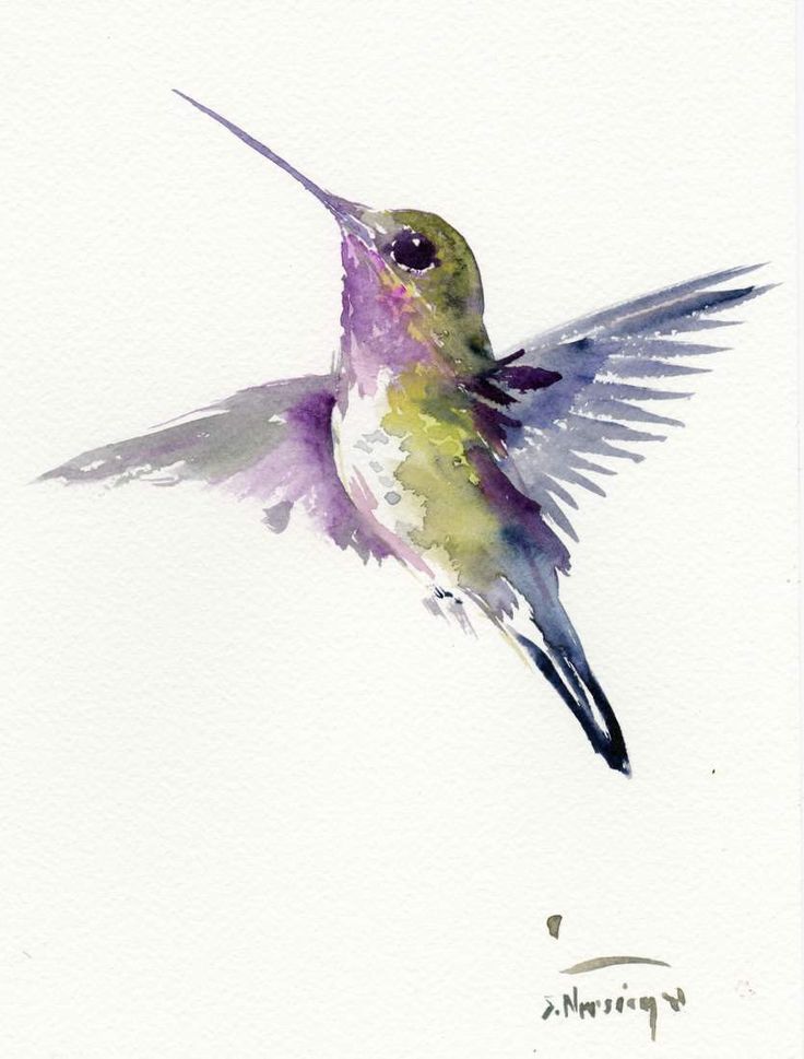 736x969 Image Result For Watercolour Bird Easy Stencil Tattoo - Watercolor Bird