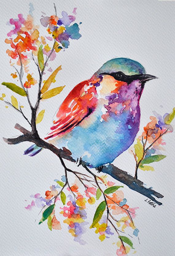 570x831 Original Watercolor Bird Painting, Pastel Colored Rainbow Roller - Watercolor Bird