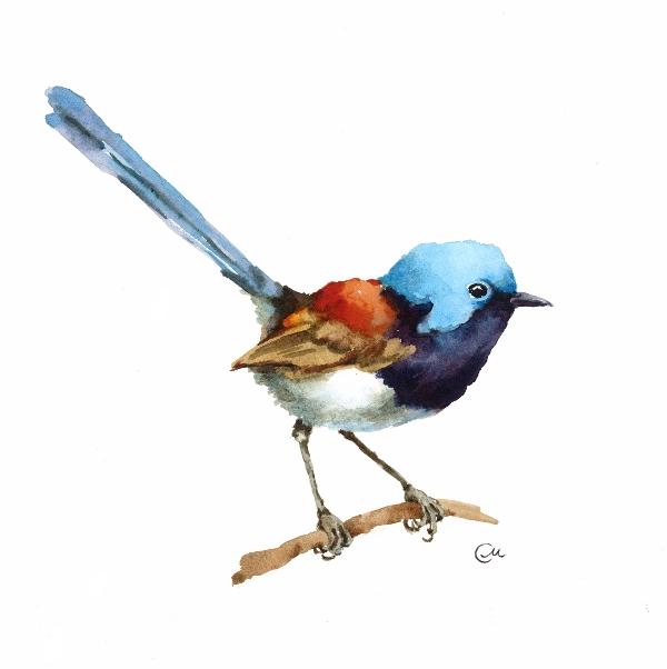600x602 Watercolor Birds On Behance - Watercolor Bird