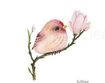 340x270 Watercolor Bird Art Etsy - Watercolor Bird