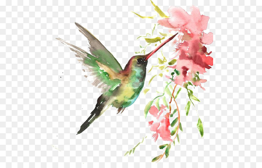 900x580 Watercolor Bird Png Download - Watercolor Bird