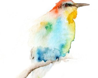 340x270 Bird Watercolor Etsy - Watercolor Bird
