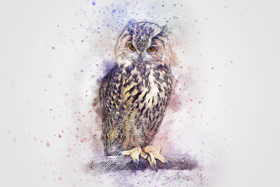 960x640 Free Photo Vintage Watercolor Bird Abstract Art Animal Owl - Watercolor Bird Abstract