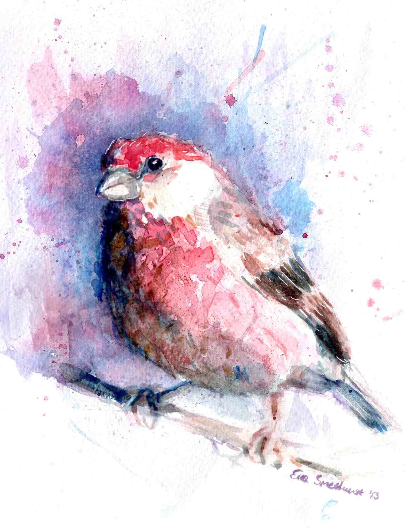 1417x1850 Ideas Animals Finch Woah Watercolor Bird Abstract - Watercolor Bird Abstract