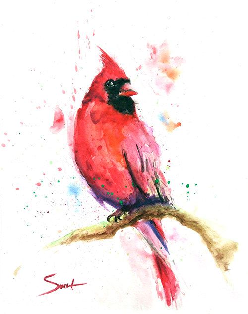 500x633 Red Cardinal Bird - Watercolor Bird Abstract