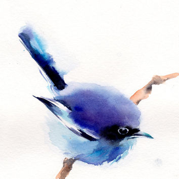 354x354 Roses - Watercolor Bird Abstract